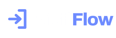 VizitFlow